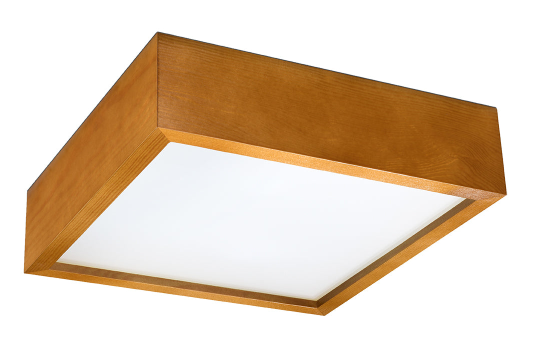 Plafond FENIKS 2 white