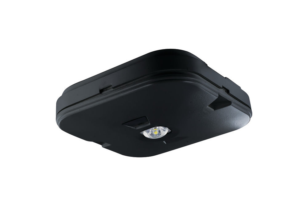 SURFACE EMERGENCY DOWNLIGHT IP44 245LM 3W 6000K 3HR NON-MAINTAINED OPEN AREA TEST BUTTON IN BLACK INTEGRAL