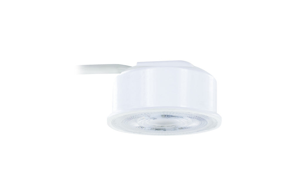 EVOLIGHT 420LM 3.8W 4000K DIMMABLE 36 BEAM INTEGRAL WITH CONNECTOR BOX